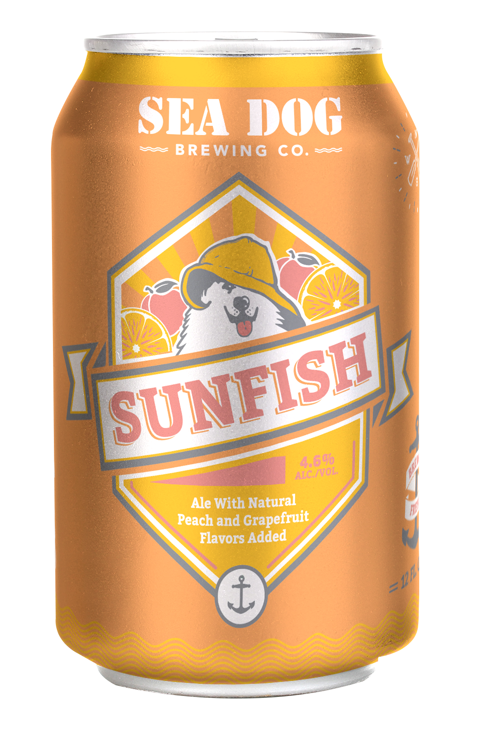 Sunfish Ale 6pk